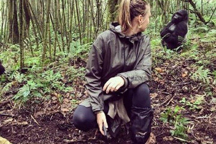 Permit-Included Rwanda Gorilla Day