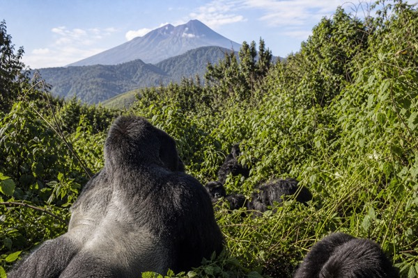 1-Day All-In Trek, Permit Included