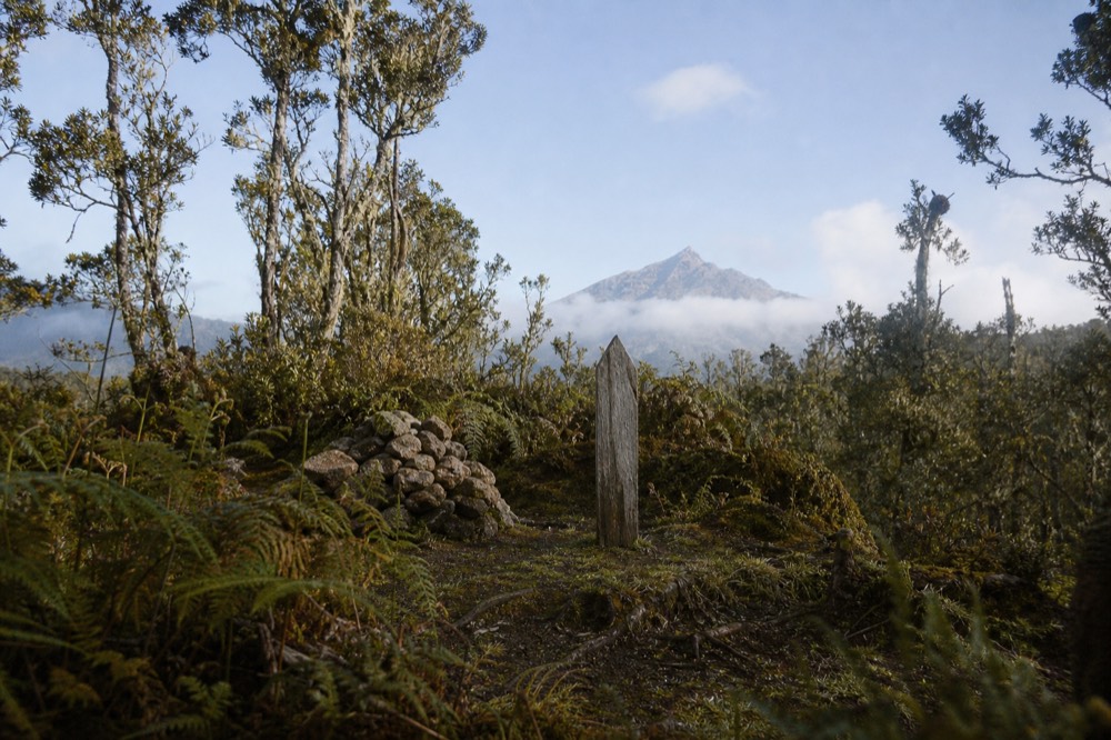 A simple stone cairn and weathered wooden grave marker in a forest clearing, ferns crowding the edges, thin cloud drifting between tall hagenia trees