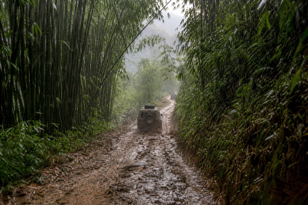 Heavy rain falling across a bamboo forest trail, water running in the ruts, a wet green wall of stems closing in on both sides